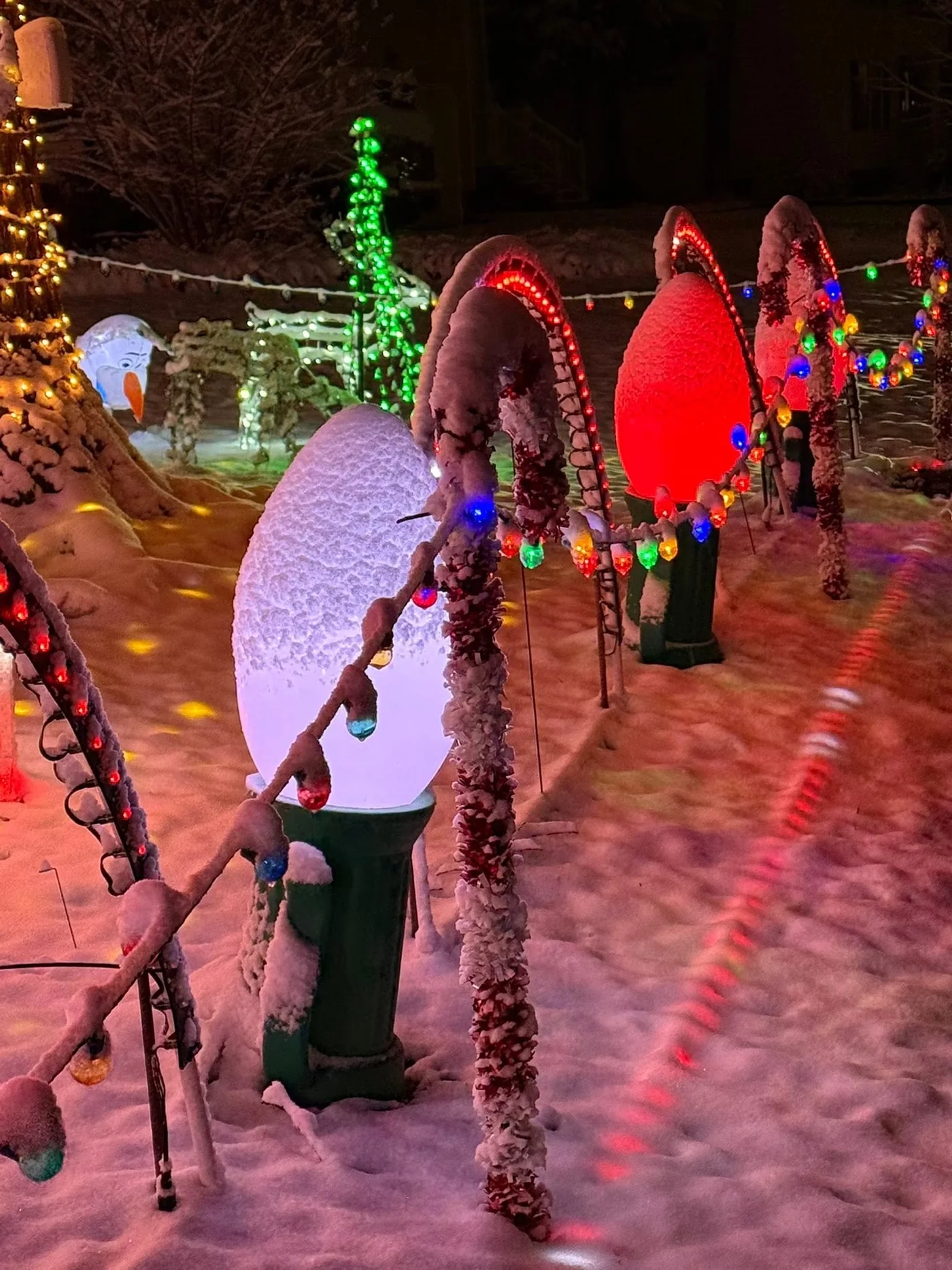 Family members helping with the Christmas display